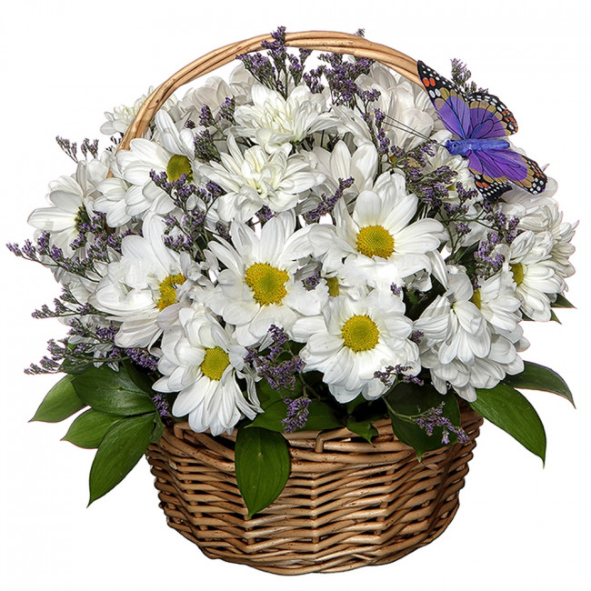 Теплые объятия Теплые объятия